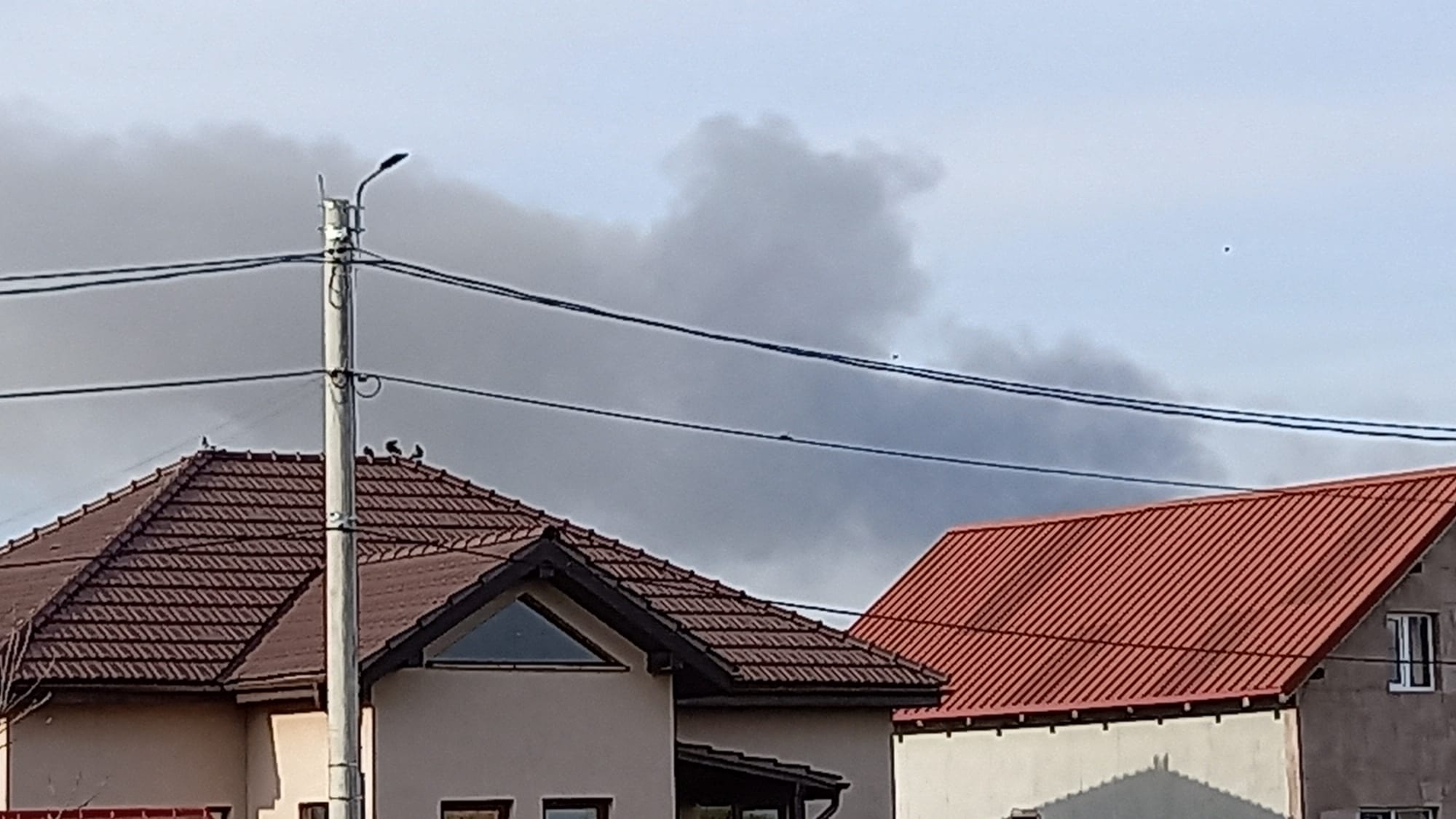 WhatsApp Image 2022-04-14 at 6.21.49 PM