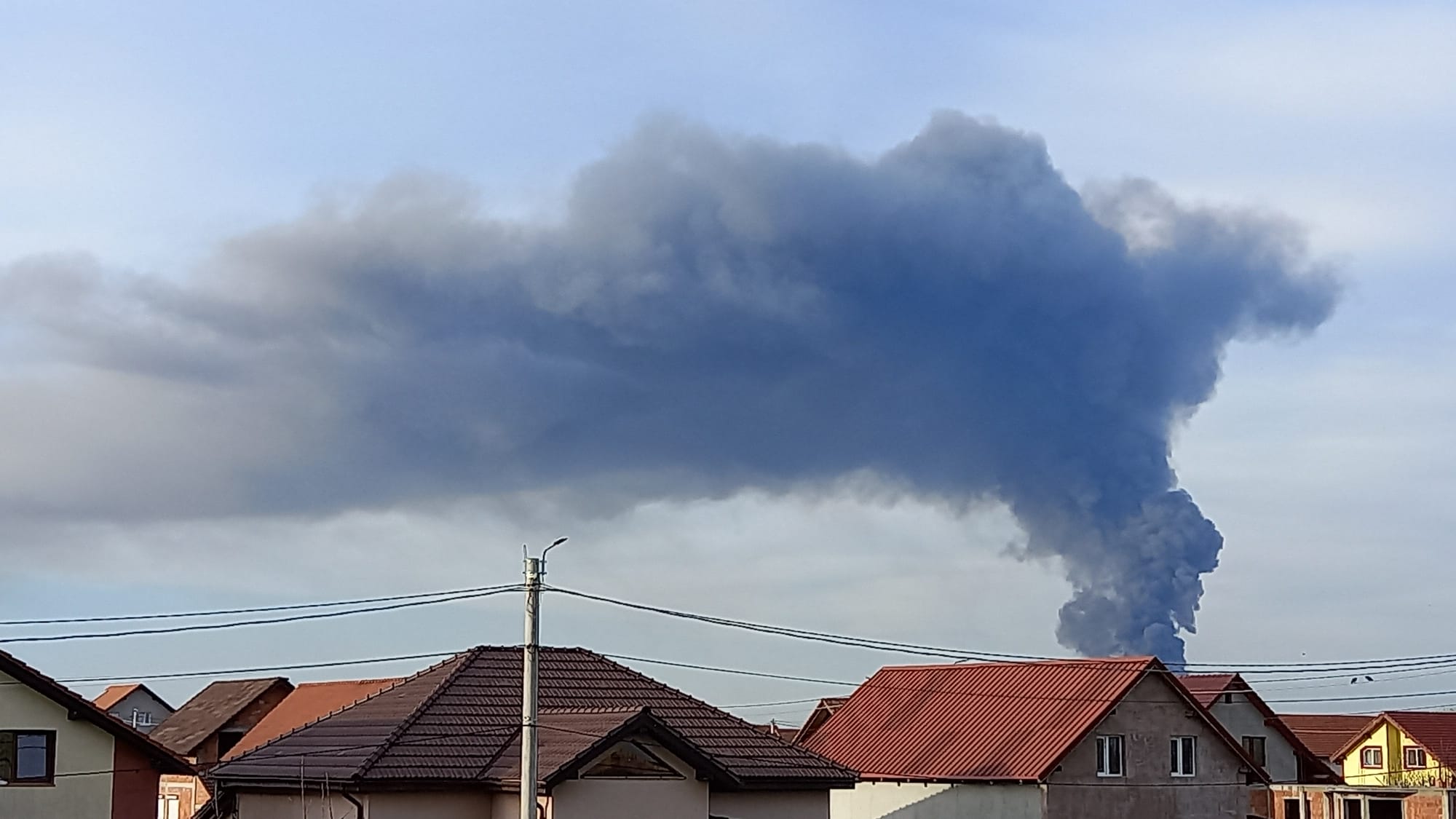 WhatsApp Image 2022-04-14 at 6.56.35 PM