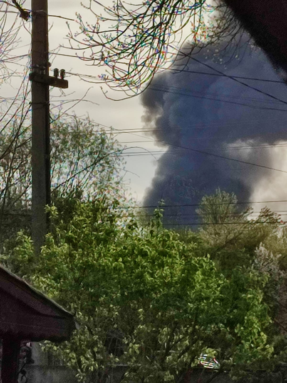 WhatsApp Image 2022-04-14 at 6.55.37 PM