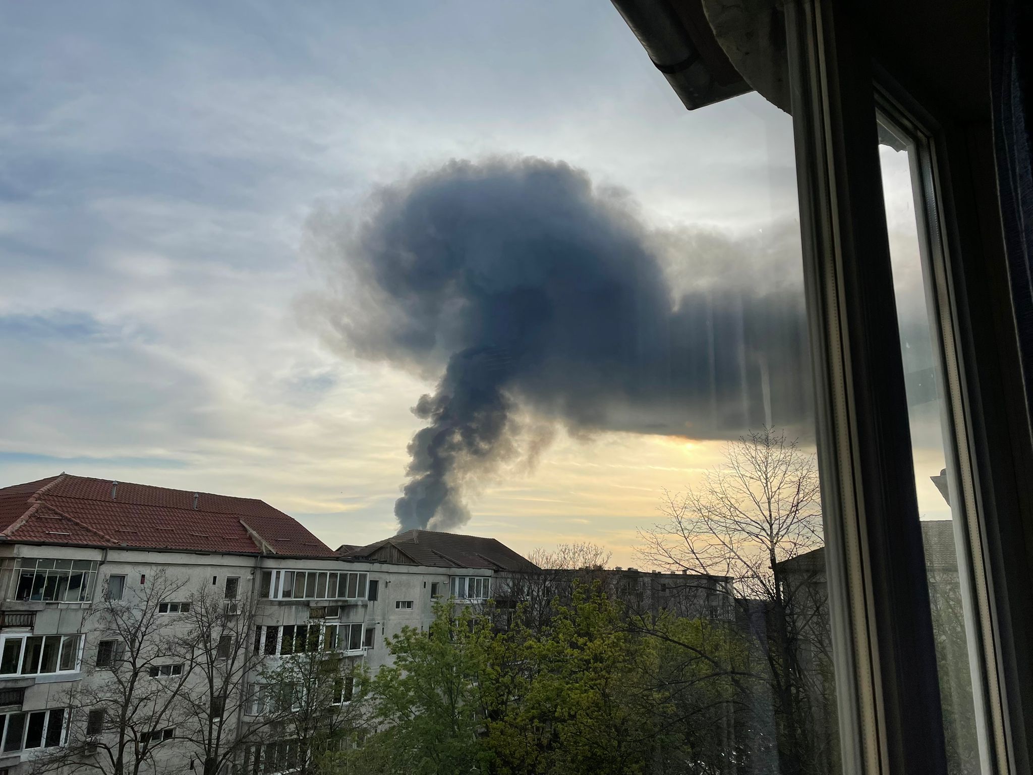 WhatsApp Image 2022-04-14 at 7.07.09 PM