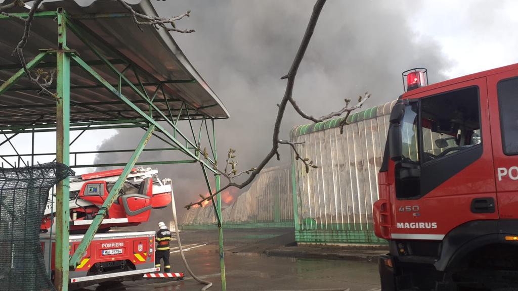 WhatsApp Image 2022-04-14 at 7.17.37 PM (2)