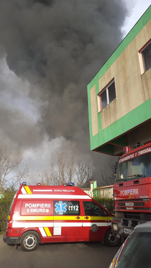 WhatsApp Image 2022-04-14 at 7.18.47 PM