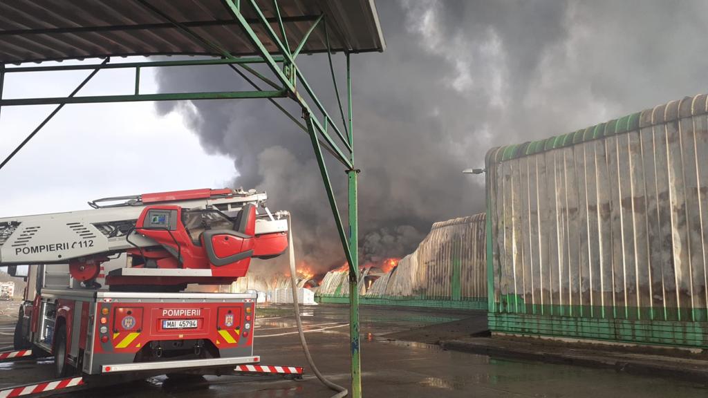 WhatsApp Image 2022-04-14 at 7.18.49 PM