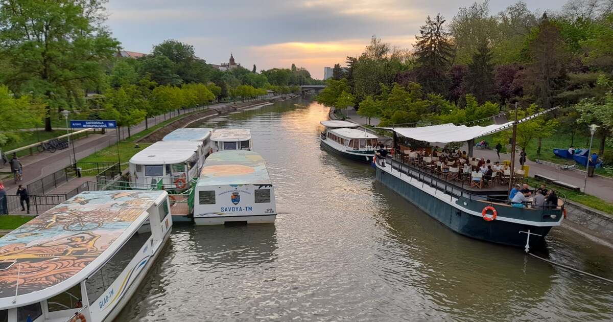 Activitatile de zi cu zi din Timisoara pe 2 martie 2024. Activitatile de zi cu zi din Timisoara pe 2 martie 2024.