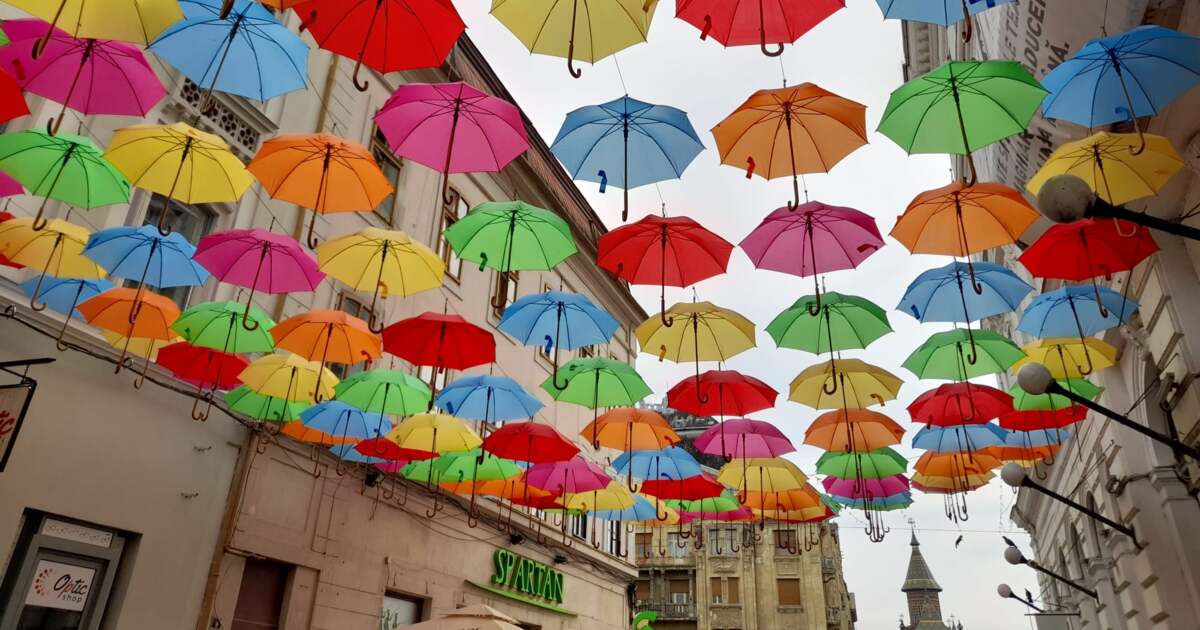 Evenimente și activități în Timișoara în data de 25 iunie 2024.