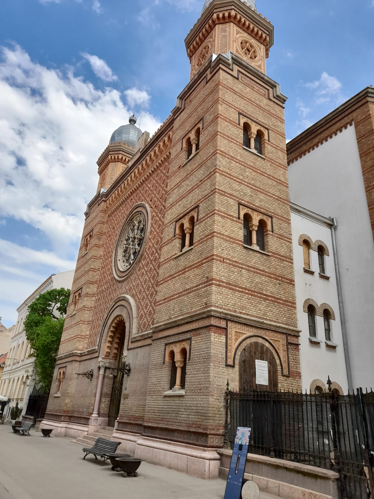 WhatsApp Image 2022-05-03 at 2.12.21 PM (1)