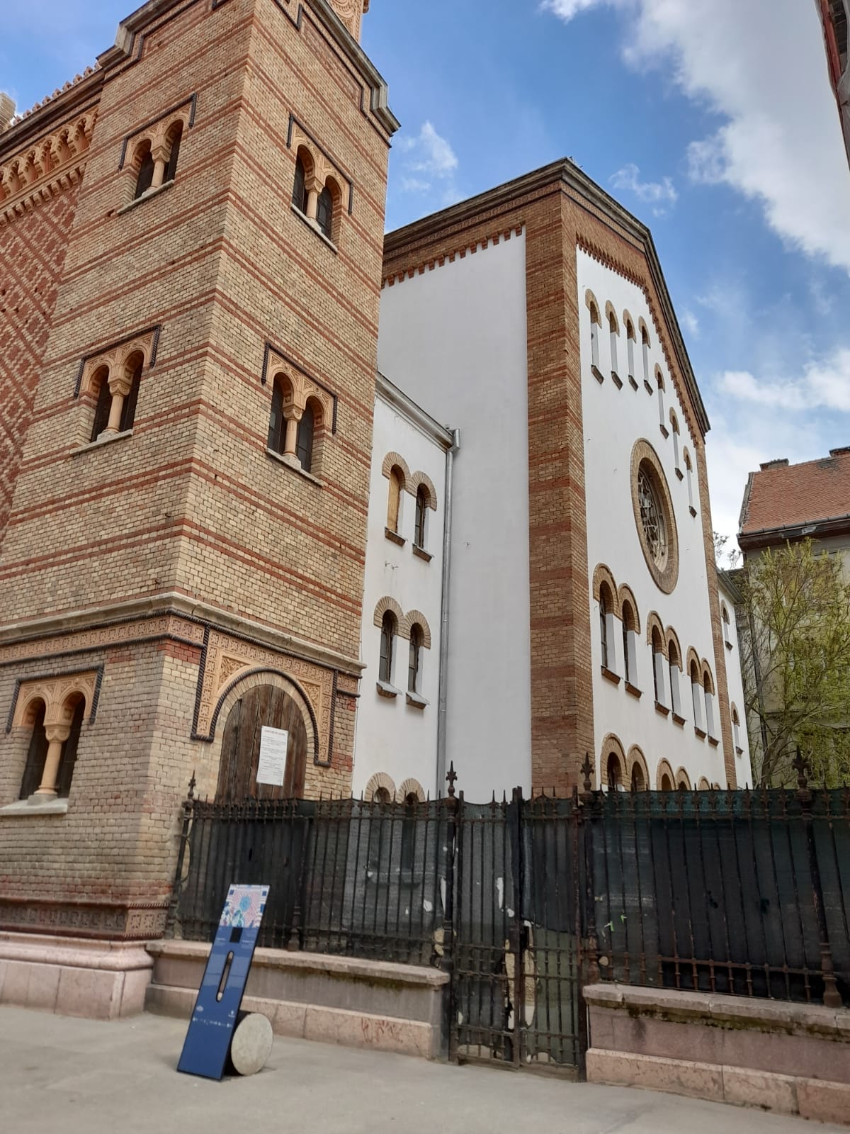 WhatsApp Image 2022-05-03 at 2.12.21 PM