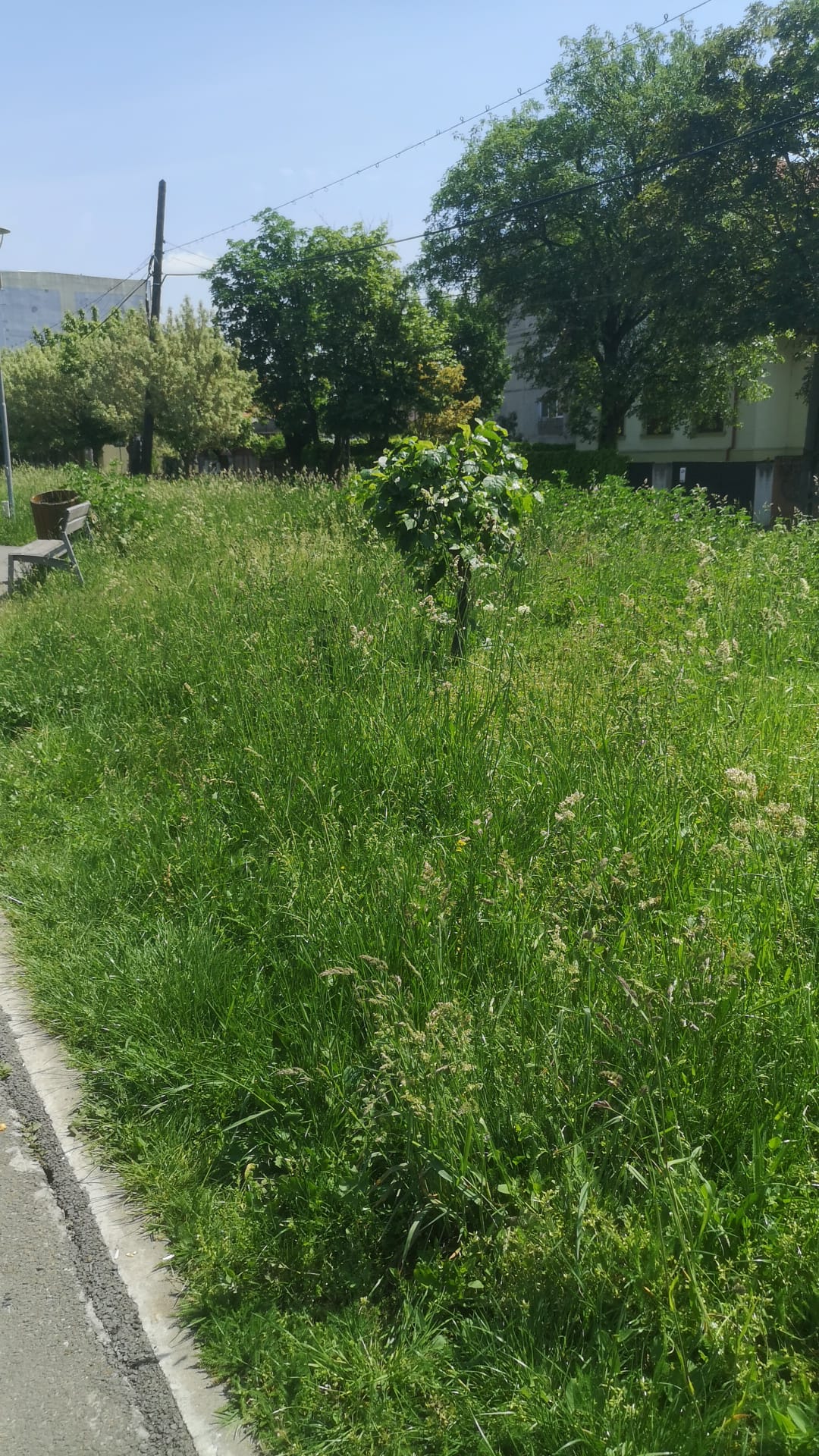 WhatsApp Image 2022-05-12 at 4.17.08 PM