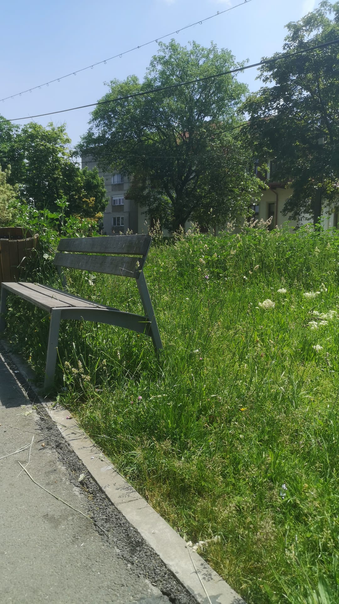 WhatsApp Image 2022-05-12 at 4.17.09 PM