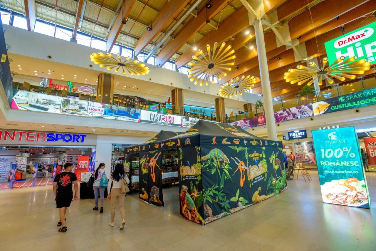 Iulius Town Timisoara_expozitie reptile (1)