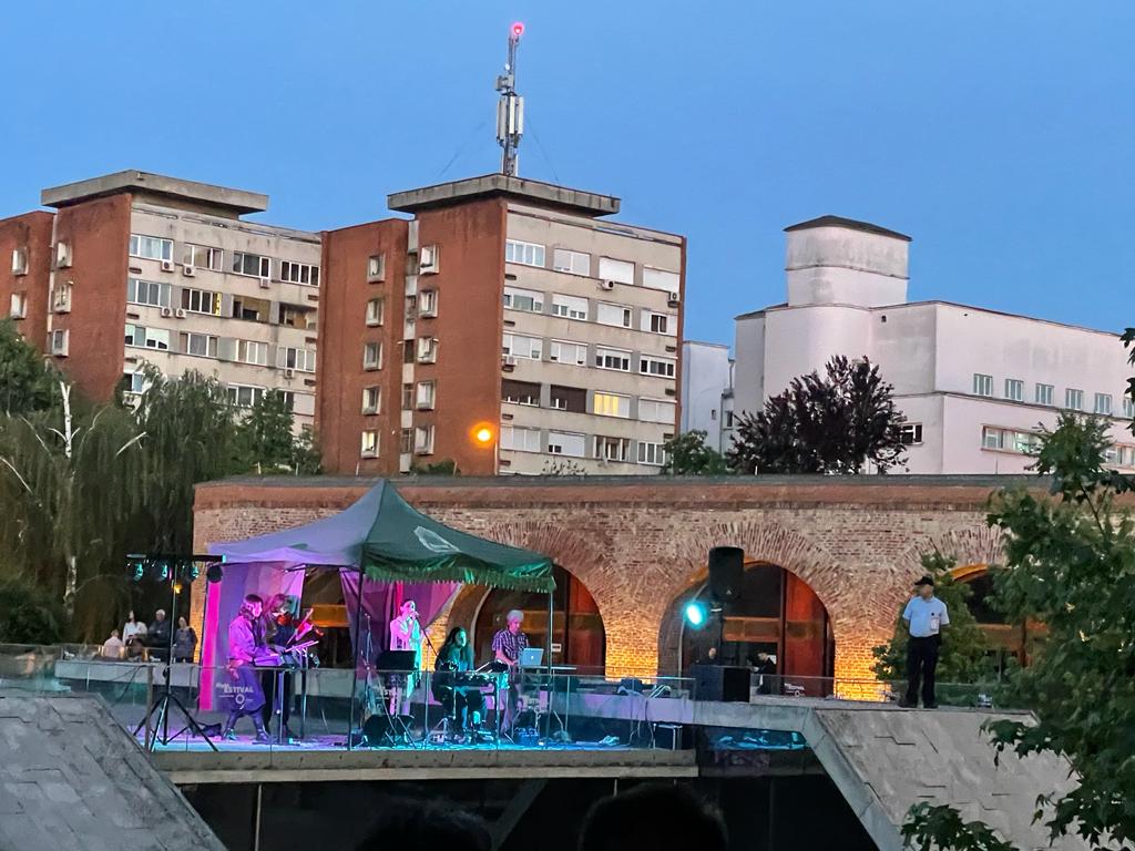 noaptea muzeelor mnab (12)