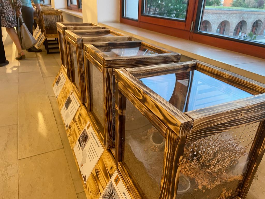 noaptea muzeelor mnab (26)