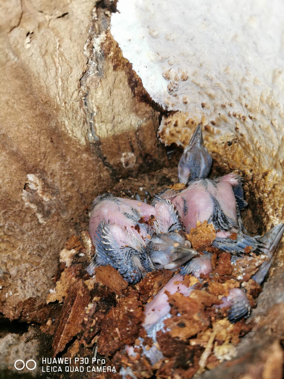 283460908_383209833836101_7963858658297935247_n