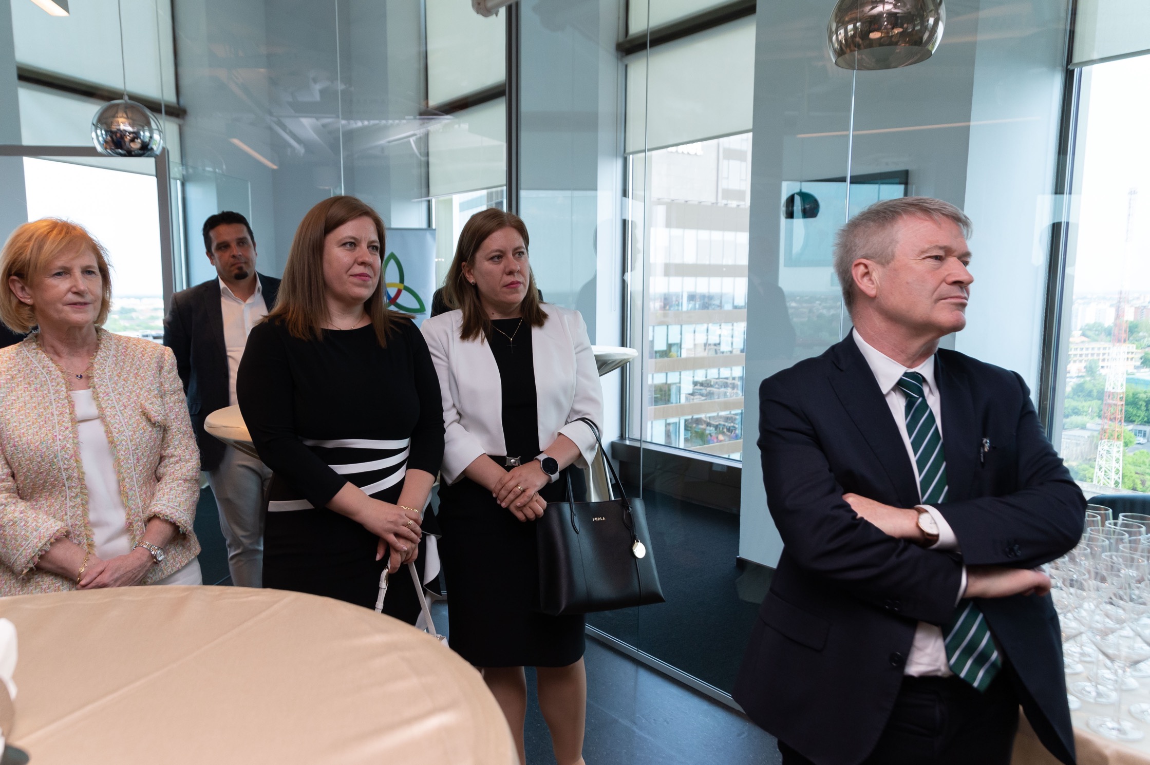 Ambasatorul irlandei la everseen (9)