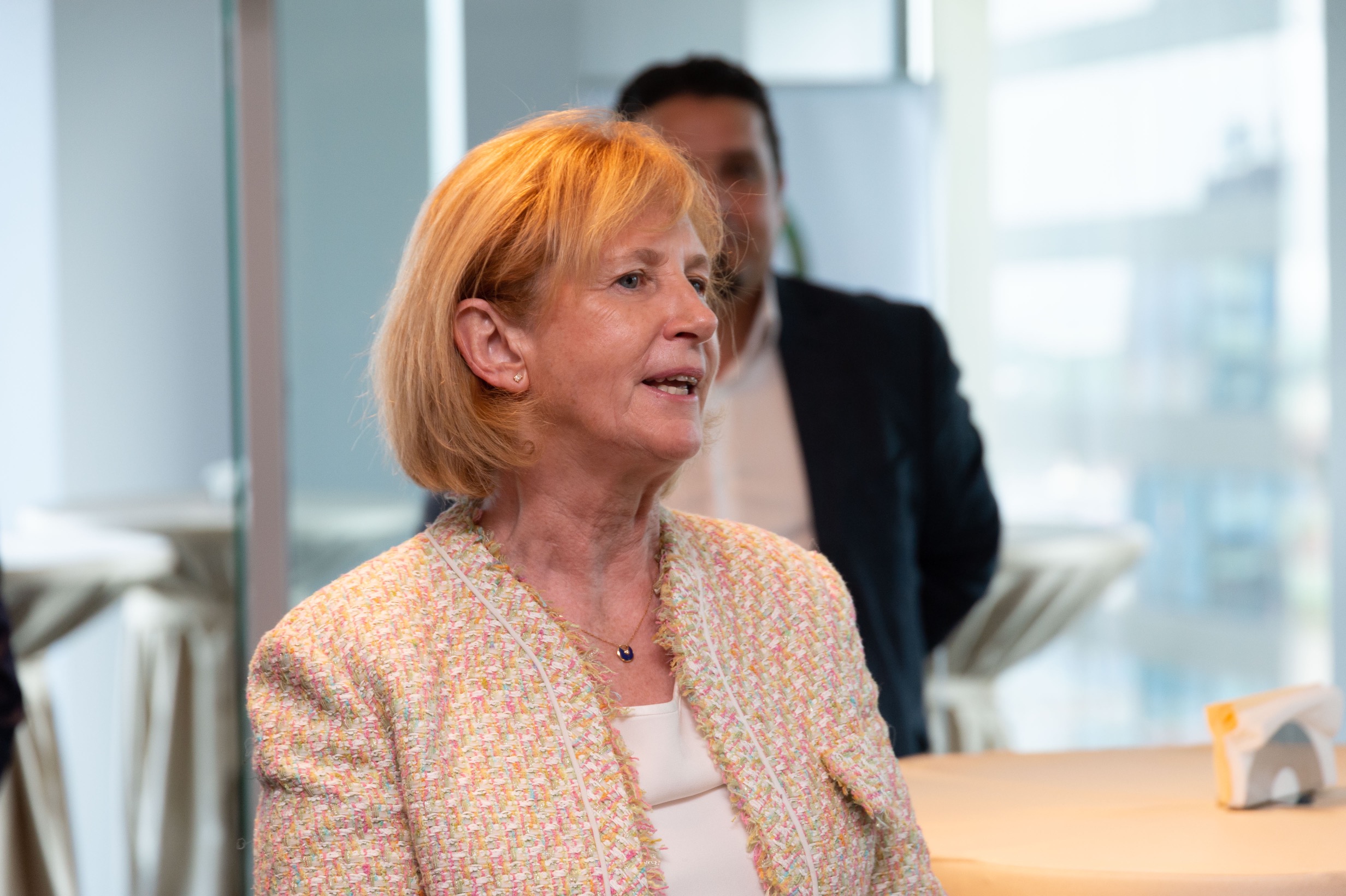 Ambasatorul irlandei la everseen (11)