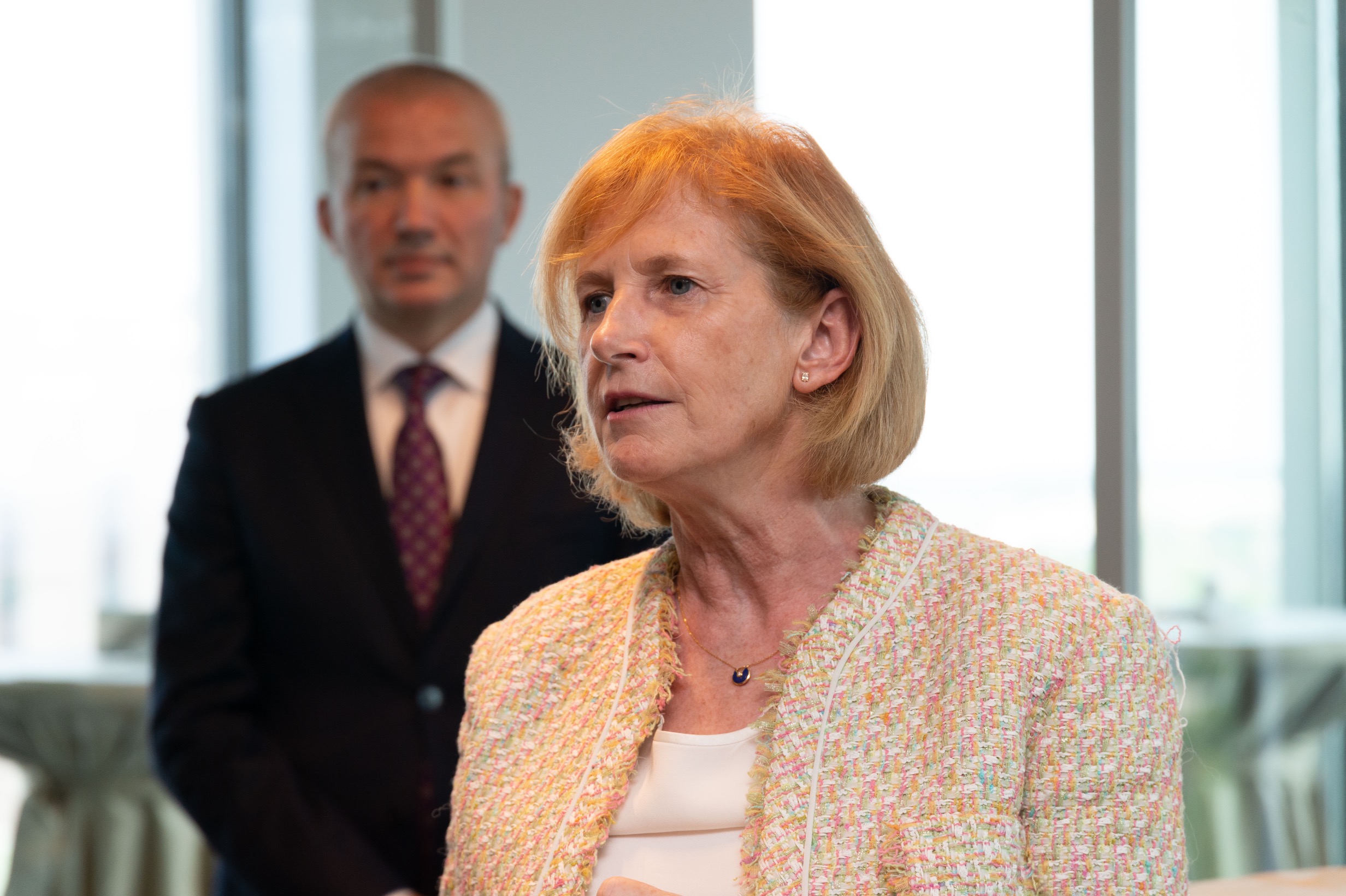 Ambasatorul irlandei la everseen (14)