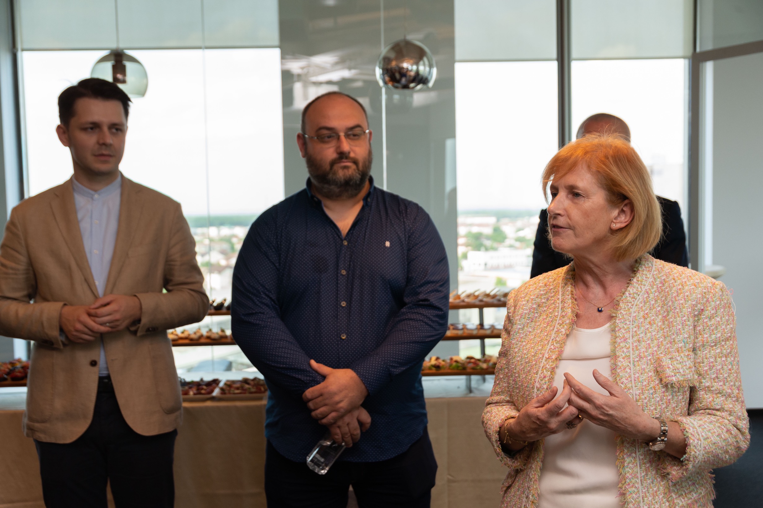 Ambasatorul irlandei la everseen (15)