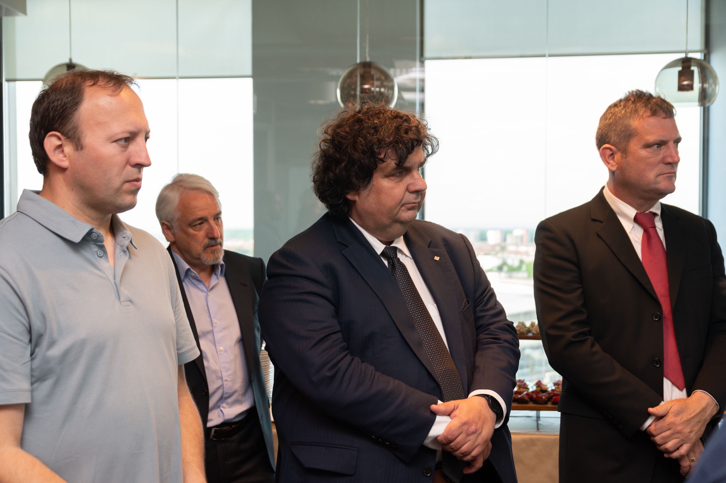 Ambasatorul irlandei la everseen (16)