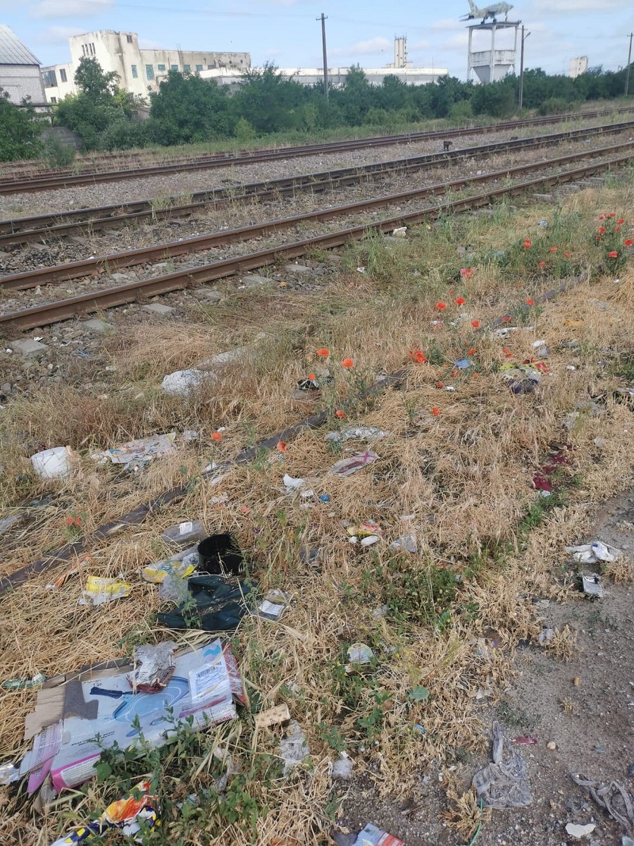 politia locala plt (6)