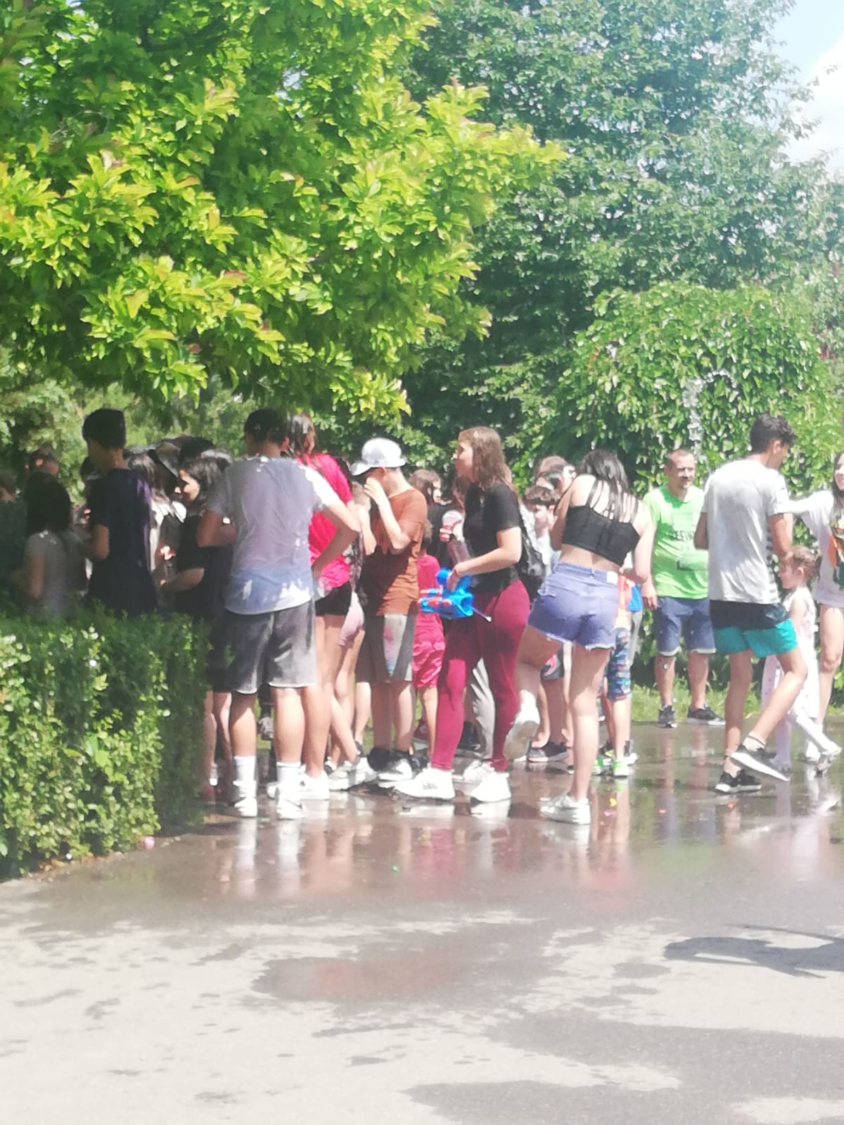 bataie apa botanic (1)