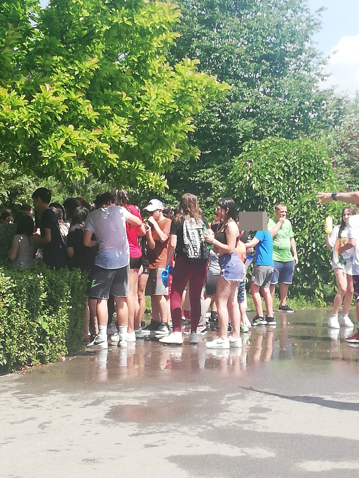 bataie apa botanic (3)