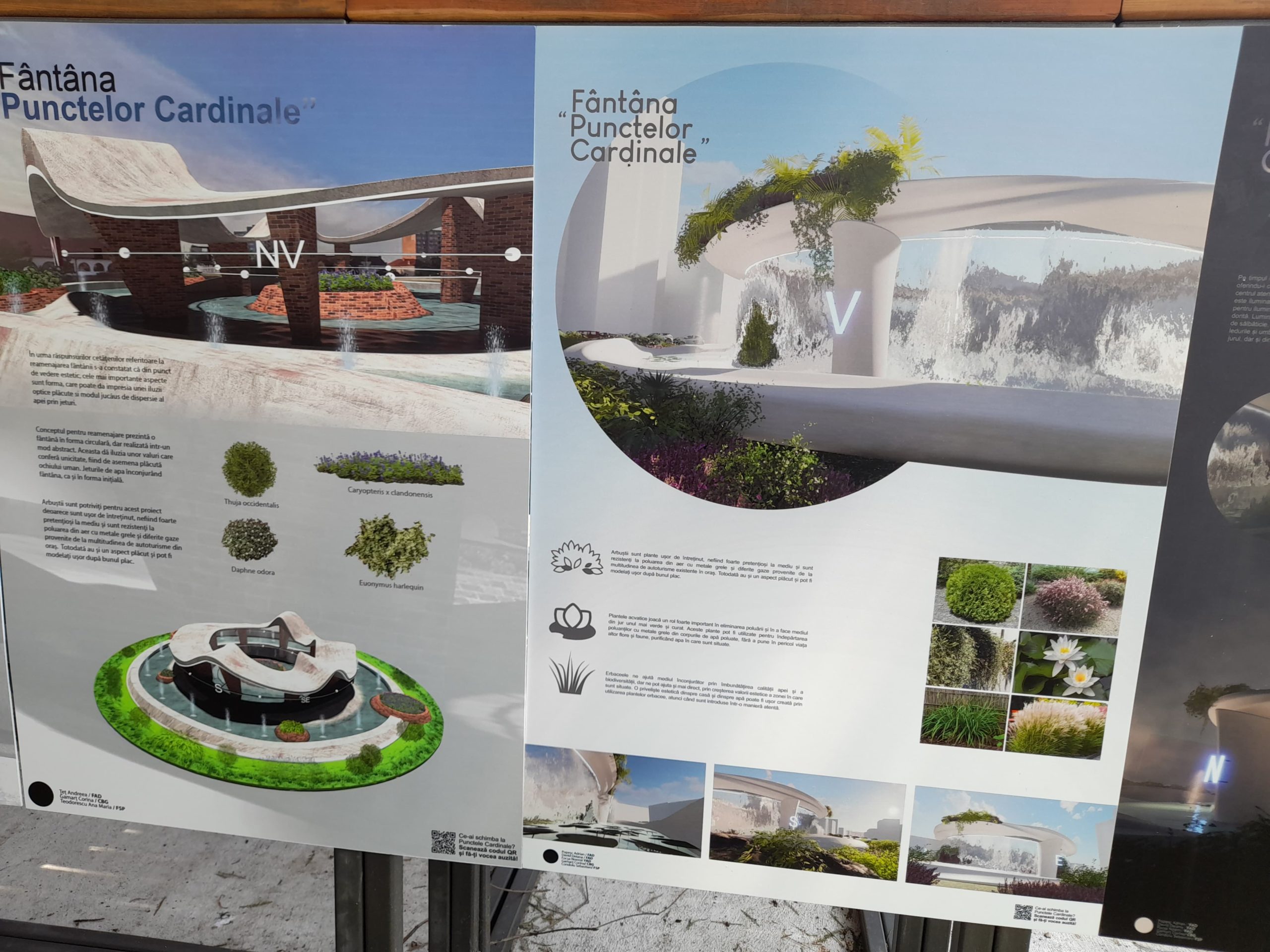 fantana punctele cardinale (2)