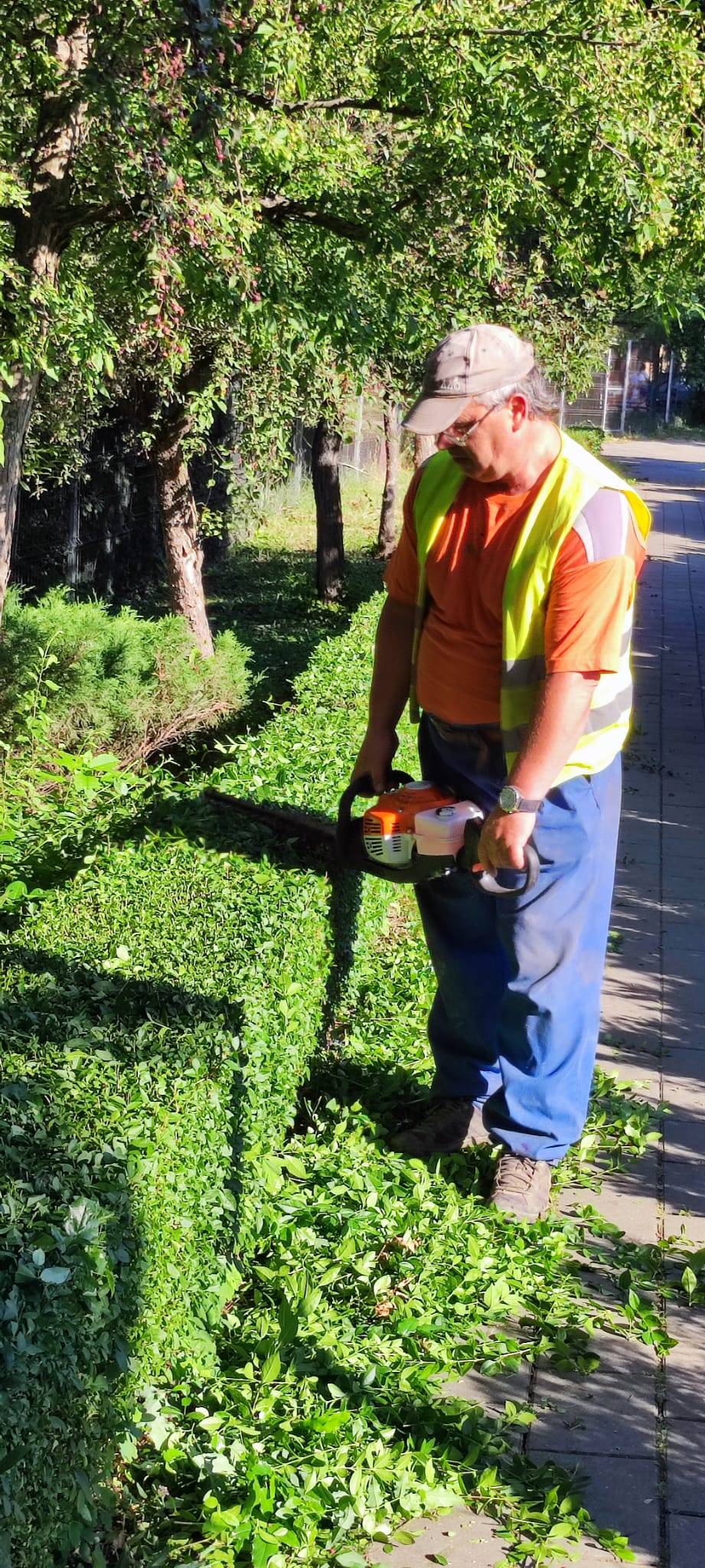 parcul rozelor horticultura intretinere lucrari (5)