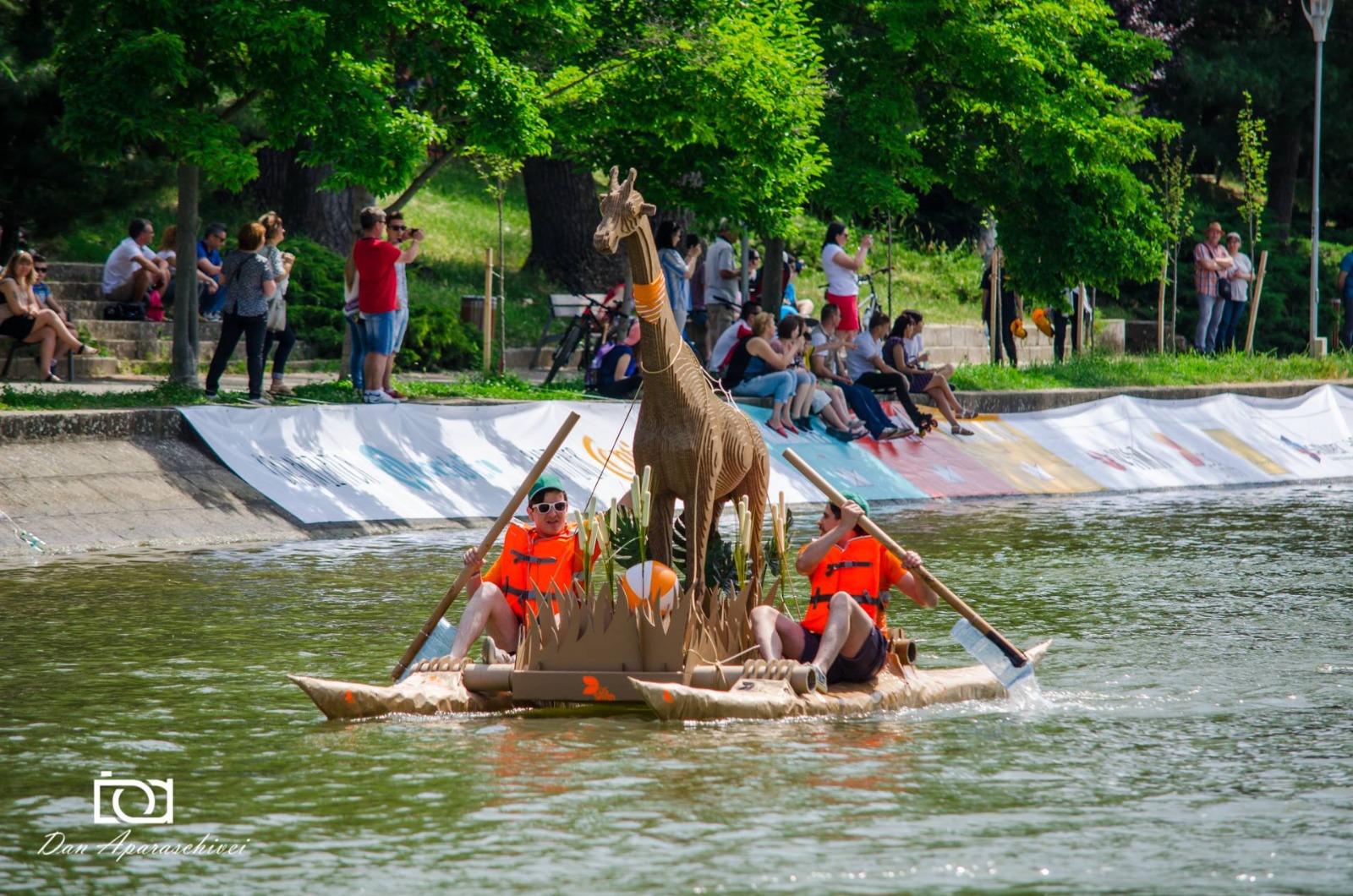 cursa barcilor bega (5)