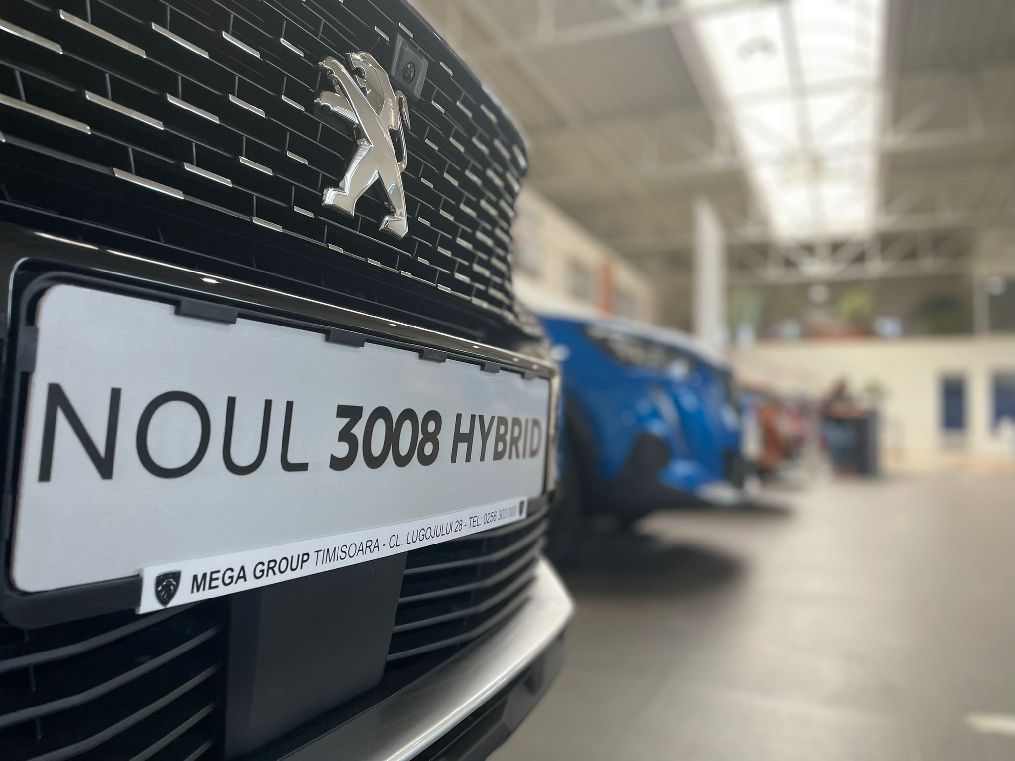 peugeot timisoara (29)