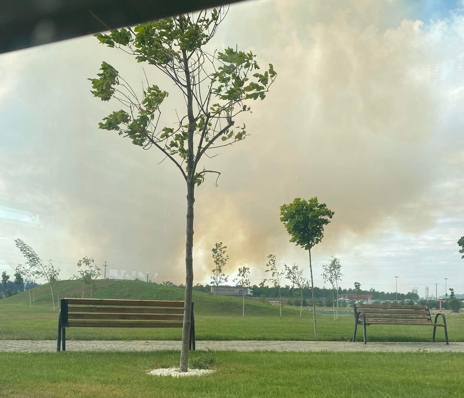 incendiu vegetatie dumbravita (1)