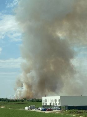 incendiu vegetatie dumbravita (1)