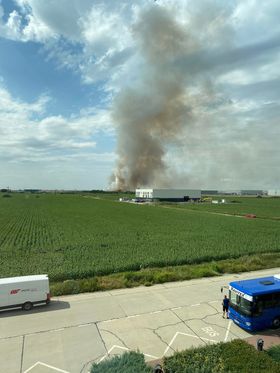 incendiu vegetatie dumbravita (2)