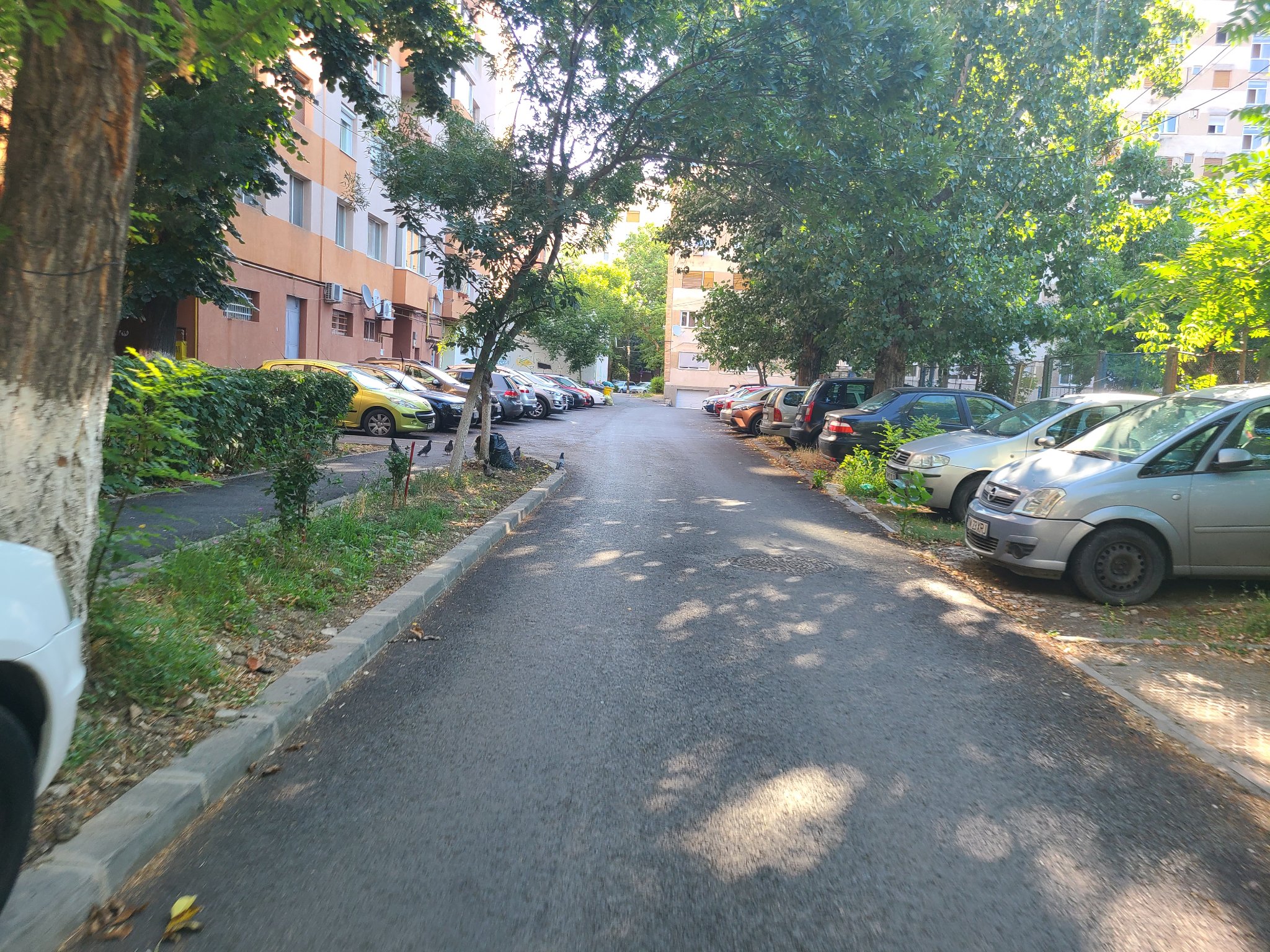 reparatii lucrari asfaltare strazi timisoara (4)