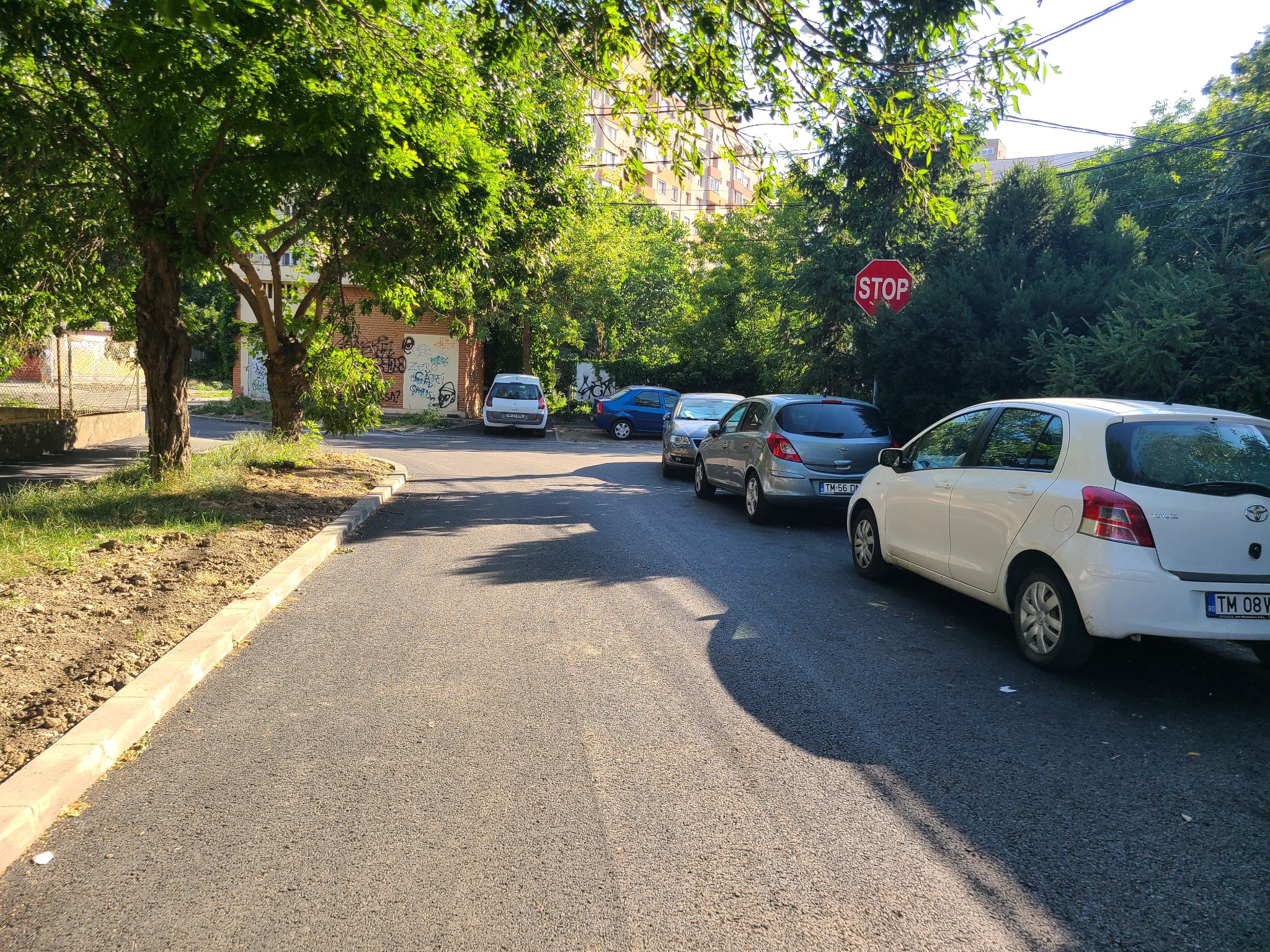 reparatii lucrari asfaltare strazi timisoara (5)