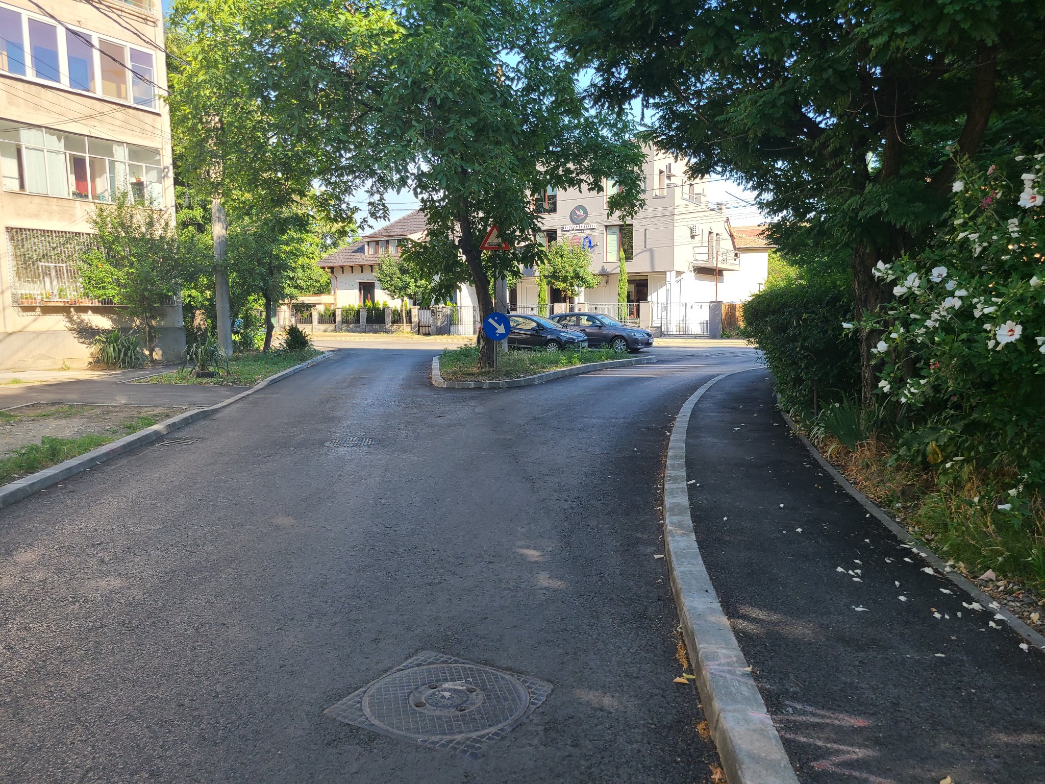 reparatii lucrari asfaltare strazi timisoara (1)