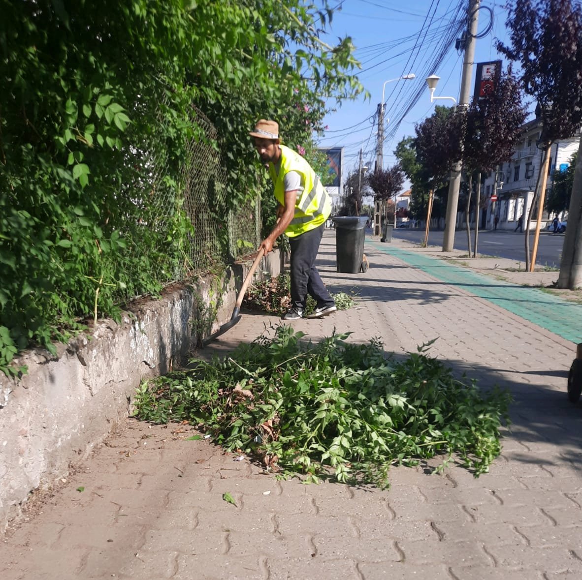 Curățenie străzi Timișoara