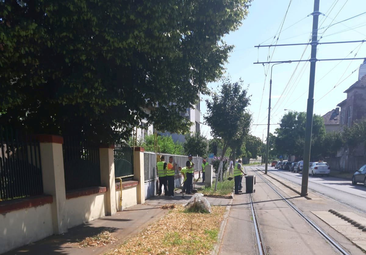 curatenie strazi timisoara (2)