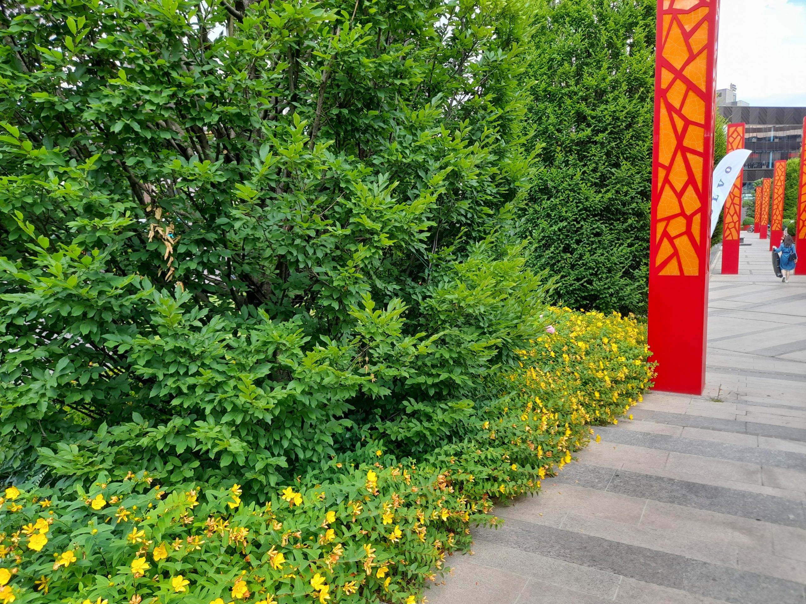 flori mall iulius town (1)