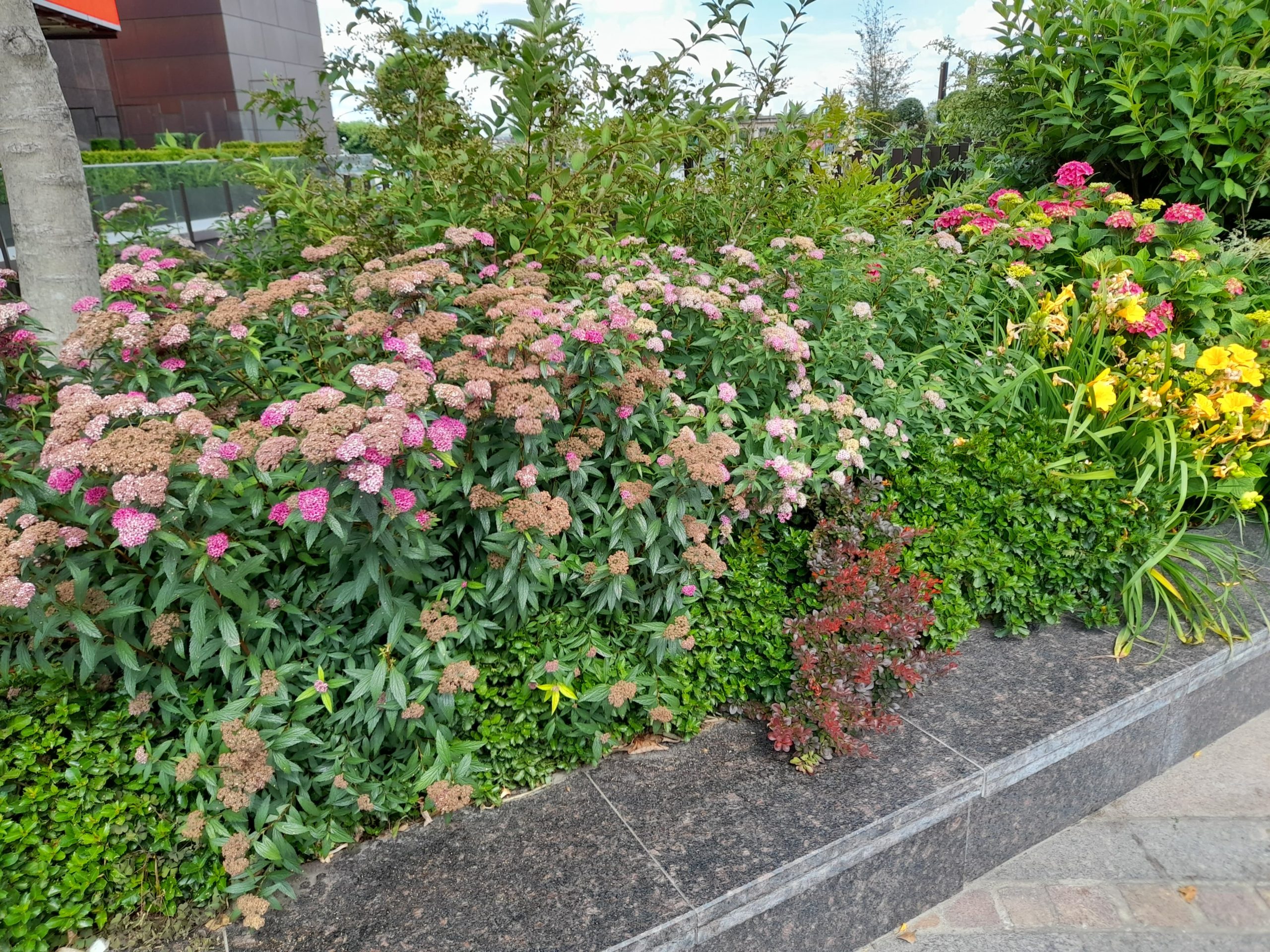 flori mall iulius town (2)