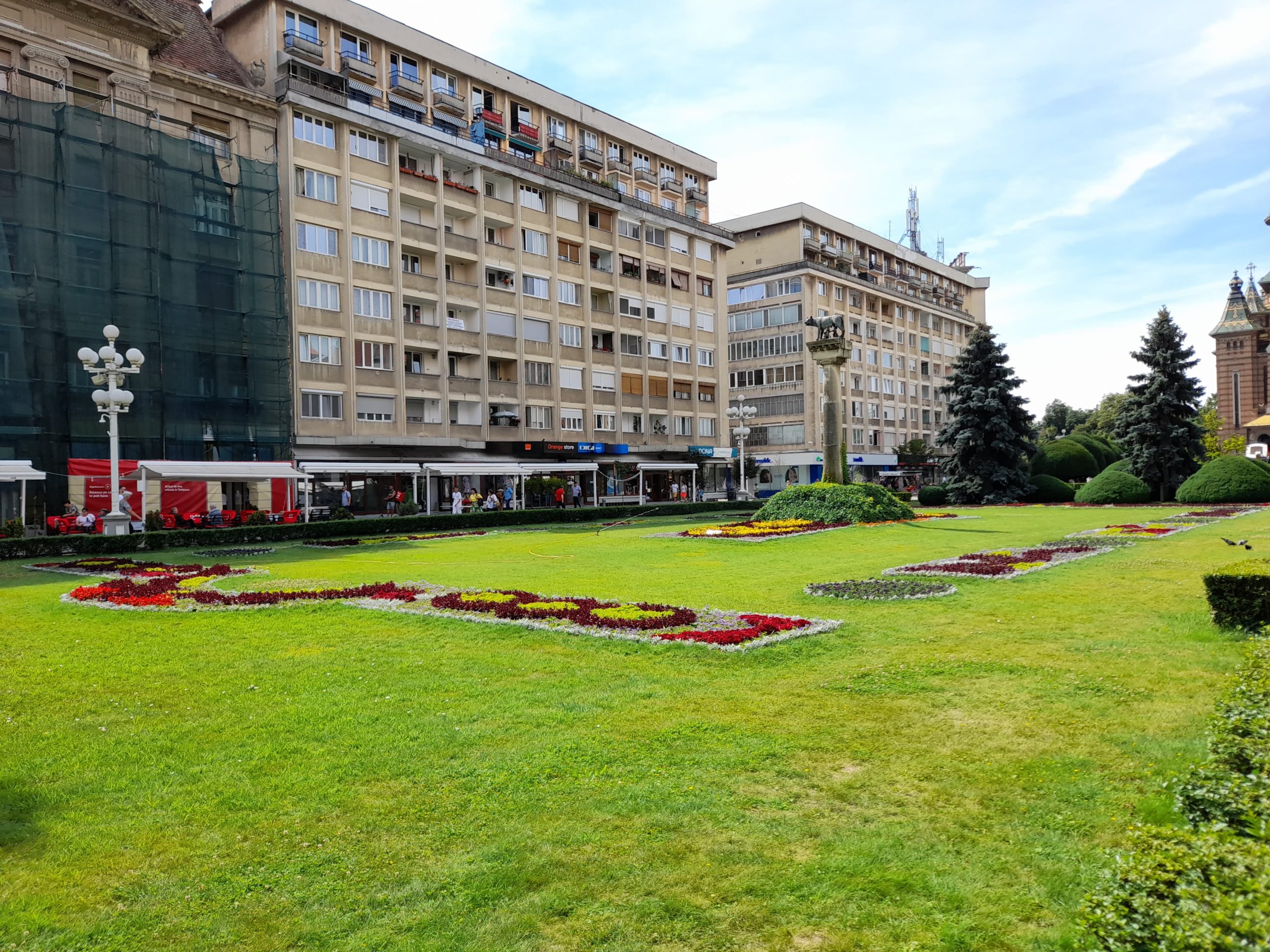 flori piata victoriei (2)