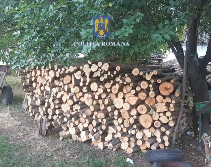 perchezitii lemn confiscat hoti timis