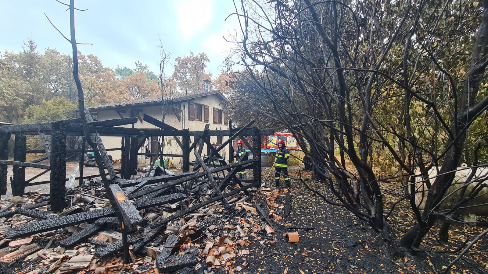 WhatsApp Image 2022-08-14 at 14.28.15