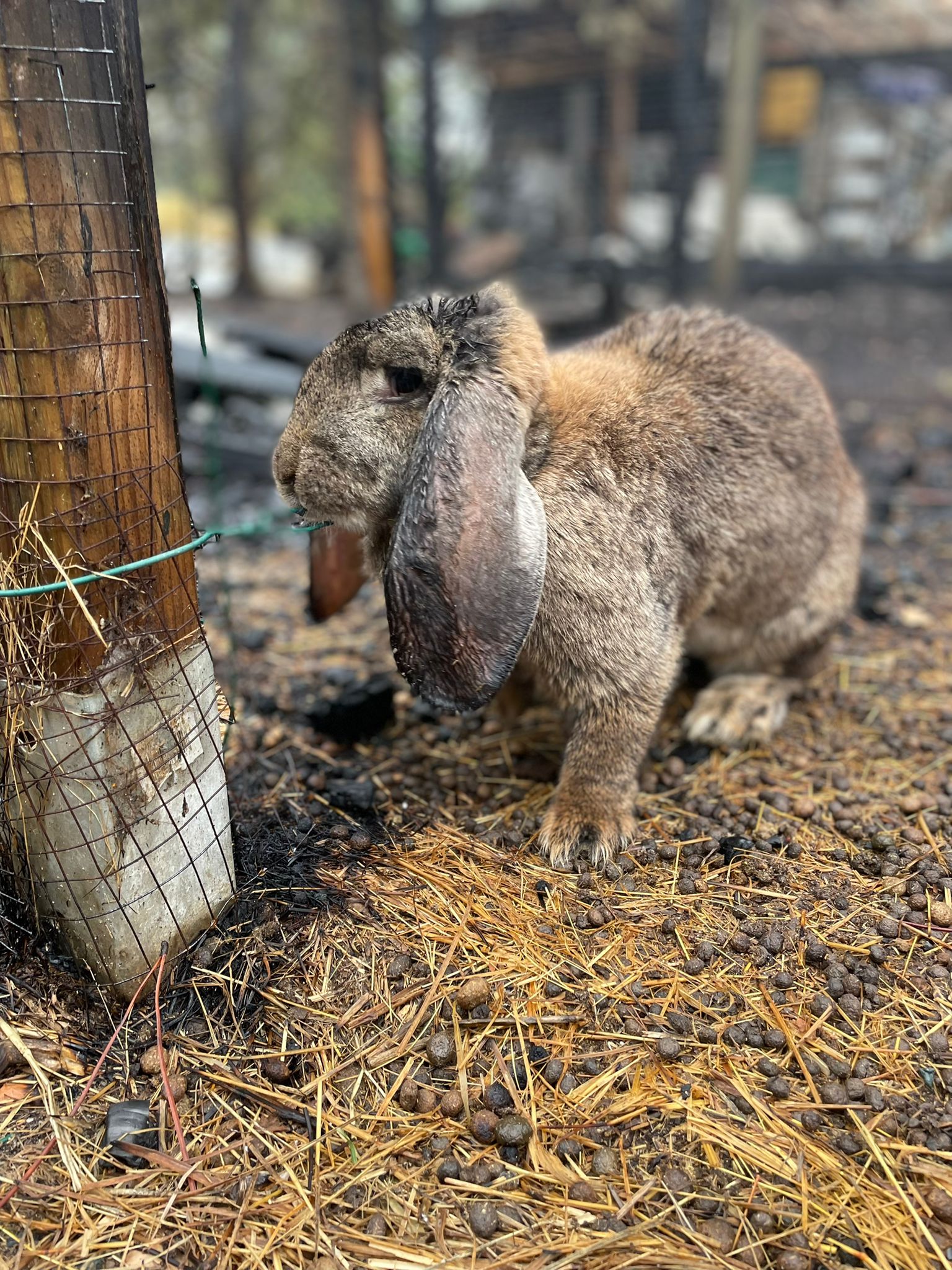 WhatsApp Image 2022-08-14 at 14.28.16 (1)