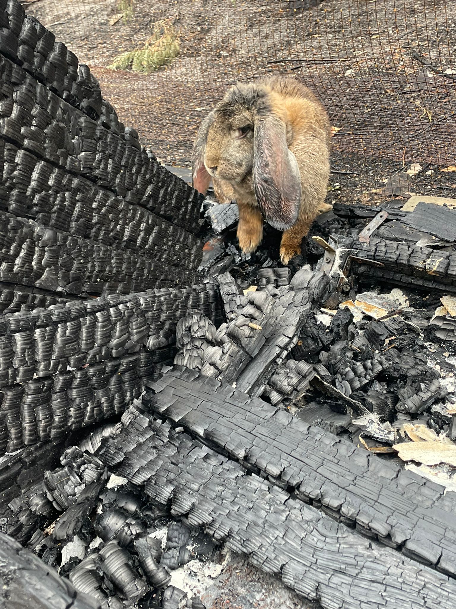 WhatsApp Image 2022-08-14 at 14.28.16