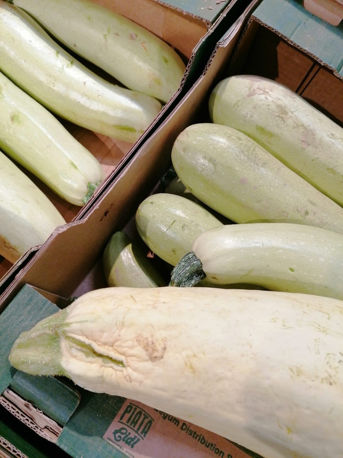 WhatsApp Image 2022-08-24 at 16.31.38 (1)