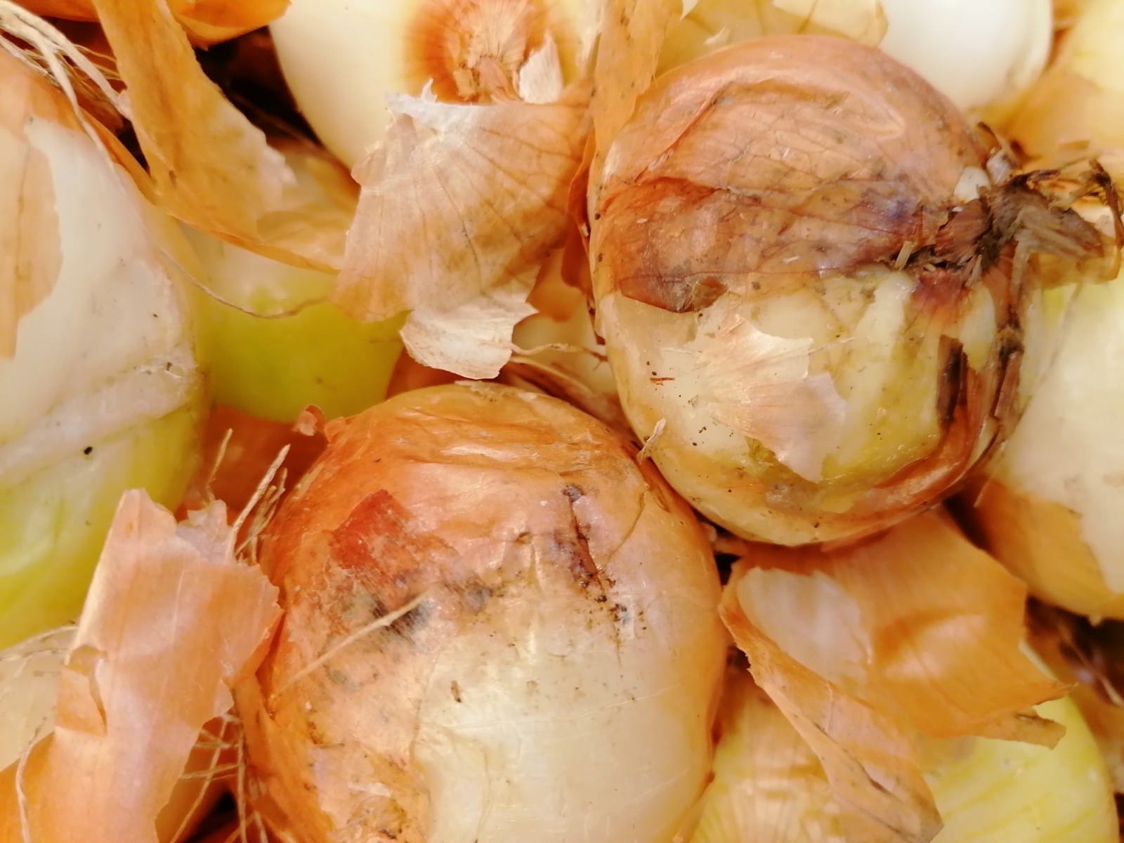 WhatsApp Image 2022-08-24 at 16.31.39 (2)