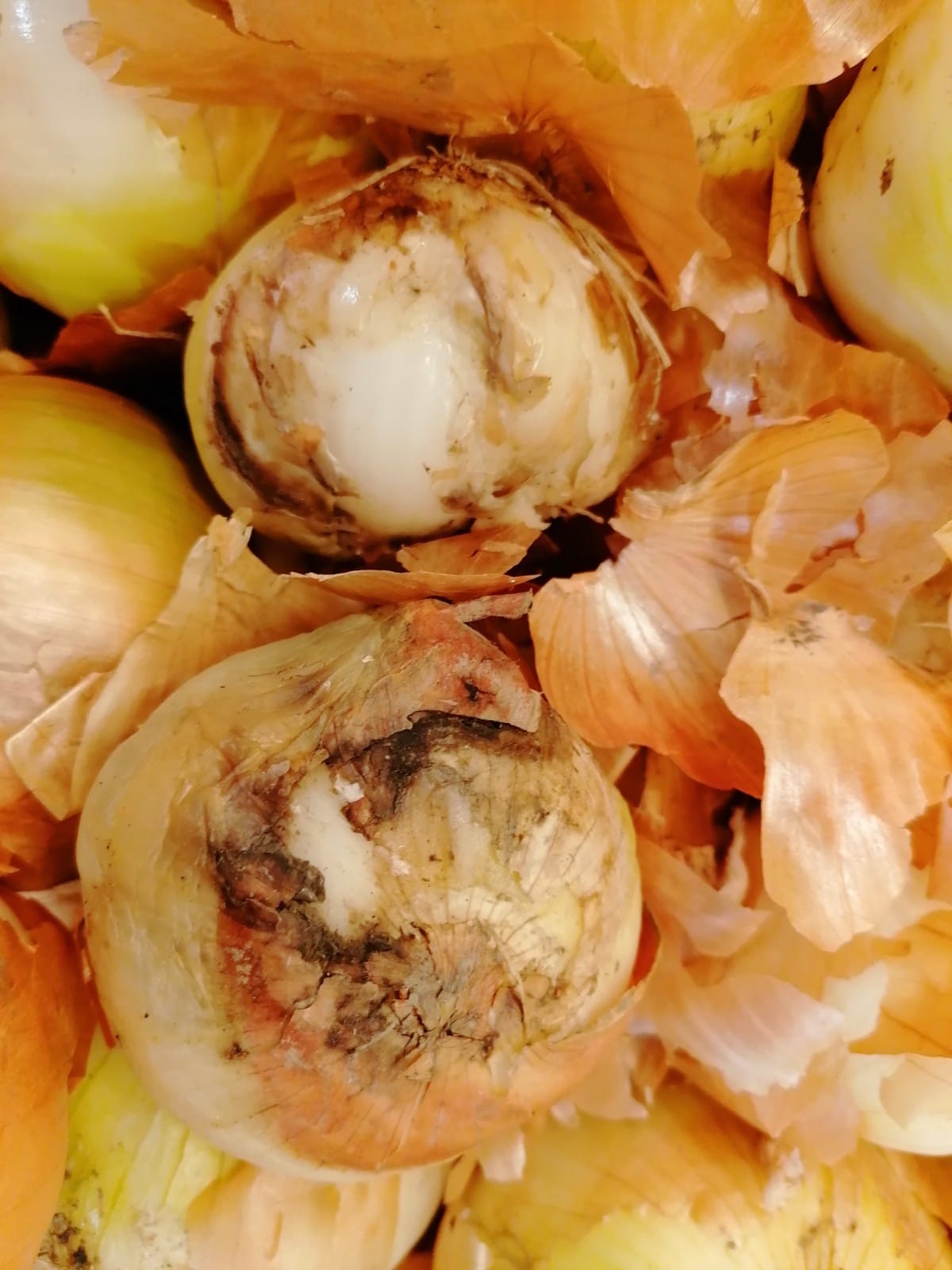 WhatsApp Image 2022-08-24 at 16.31.39 (3)