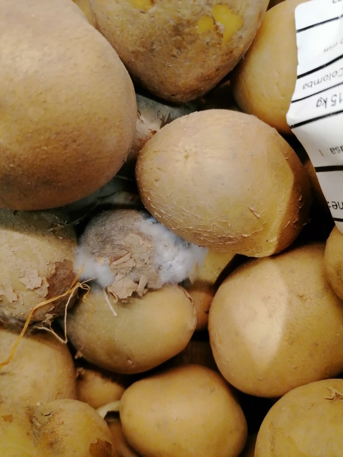 WhatsApp Image 2022-08-24 at 16.31.39