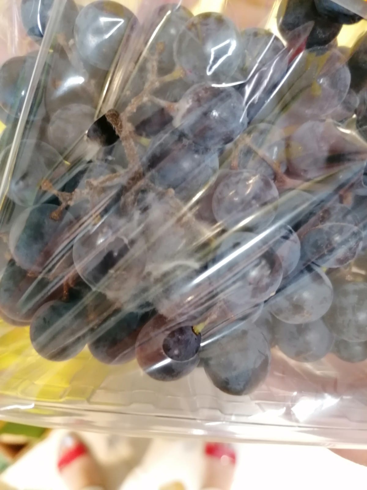 WhatsApp Image 2022-08-24 at 16.31.40 (1)