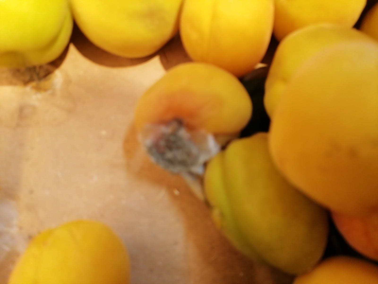 WhatsApp Image 2022-08-24 at 16.31.41 (1)